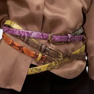 ZARA メタルスネークプリントベルト 1011/050 METAL SNAKE BELT - Golden | ZARA United States